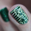 Nail Art - Nail Polish &amp Stamp Polish