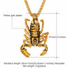 Gold Scorpio Pendant Necklace - Zodeys