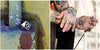 Outlaw 13 Polished Silver Biker Ring - Zodeys