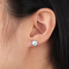 Silver Cubic Zirconia Stud Earrings