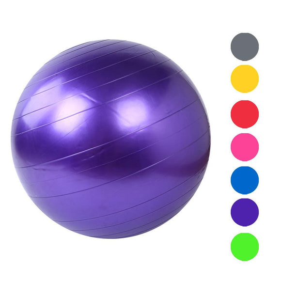 Home Exercise Workout Fitness Gym Yoga Ball - Zodeys