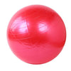 Home Exercise Workout Fitness Gym Yoga Ball - Zodeys