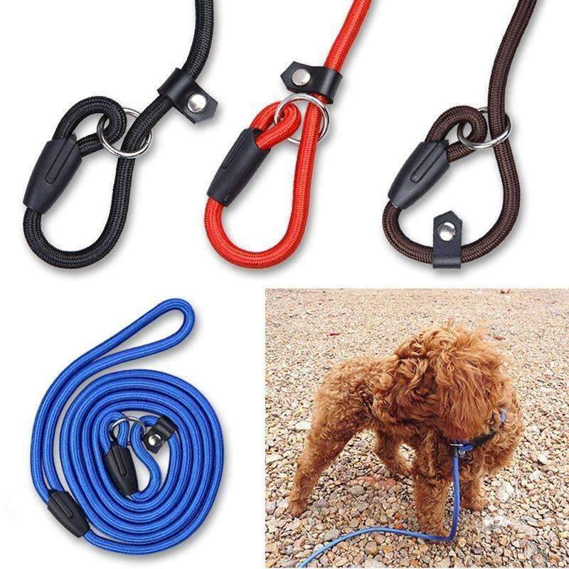 High Quality Nylon Dog Leash - Zodeys