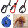 High Quality Nylon Dog Leash - Zodeys