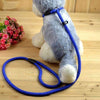High Quality Nylon Dog Leash - Zodeys