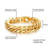 Men's Escobar Gold Chain Bracelet - Zodeys