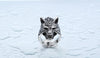 Stainless Steel Wolf Head Ring
