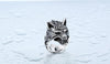 Stainless Steel Wolf Head Ring